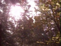 689000.PICT
