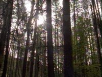 690000.PICT