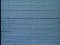 105200.PICT