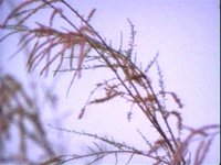 668800.PICT