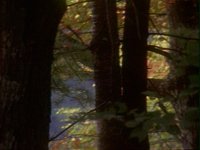 671100.PICT