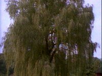 672300.PICT