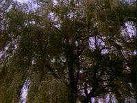 672500.PICT