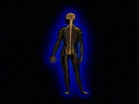 169200.PICT