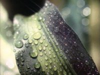 201000.PICT