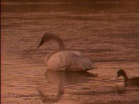 579200.PICT
