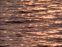 580000.PICT