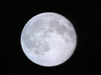 588600.PICT
