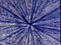136400.PICT