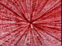 136500.PICT