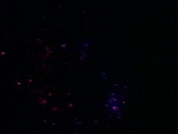 183300.PICT