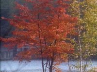638000.PICT