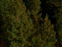 608700.PICT