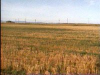 610100.PICT