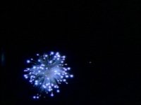 105700.PICT