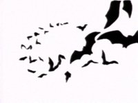 206300.PICT
