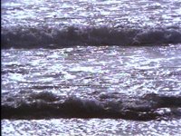 702000.PICT