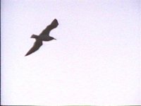 703300.PICT