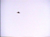 703400.PICT