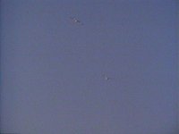707300.PICT