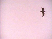 707900.PICT