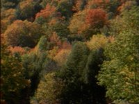 562900.PICT
