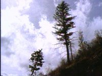 564600.PICT