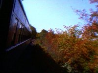 623900.PICT