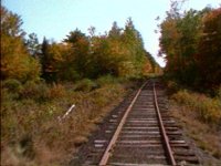 626200.PICT