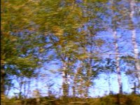 627900.PICT