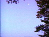 633300.PICT
