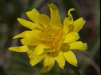 514300.PICT