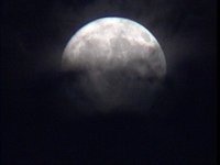 517400.PICT