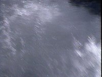 519200.PICT