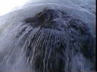 520000.PICT