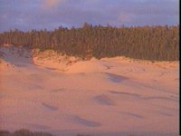 525900.PICT
