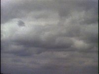 110600.PICT