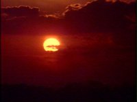 110800.PICT