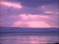 17800.PICT
