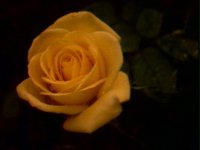 191200.PICT