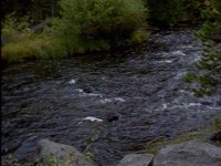 655400.PICT