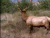 596100.PICT