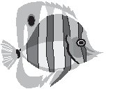 ANMAQ006.eps