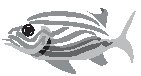 ANMAQ009.eps