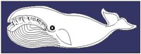 ANMAQ017.eps
