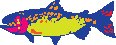 ANMAQ025.eps