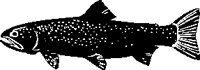 ANMAQ039.eps