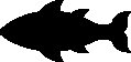 ANMAQ042.eps