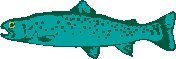 ANMAQ054.eps