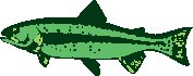 ANMAQ055.eps